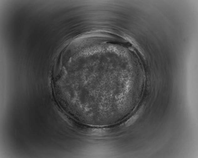 X0000089690985200707121333