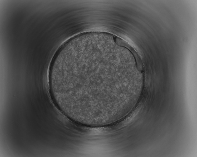 X0000089690988200707121333