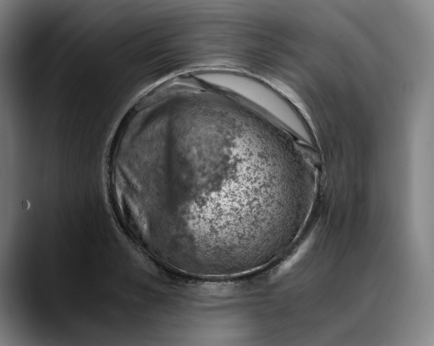 X0000089690989200707121333