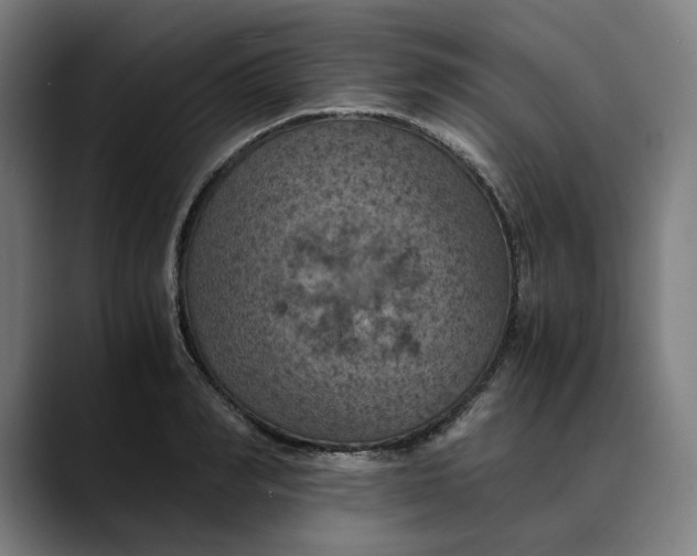 X0000089690990200707121333