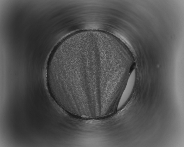 X0000089690992200707121333