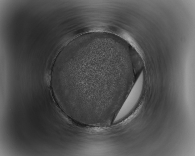 X0000089690993200707121333