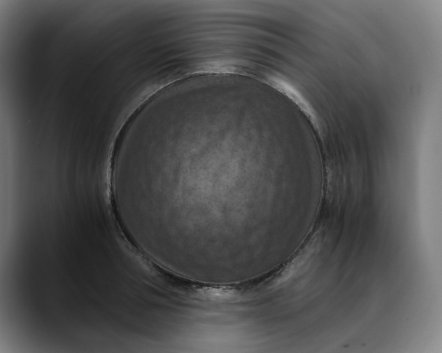 X0000089690994200707121333