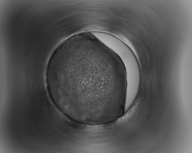 X0000089690997200707121333