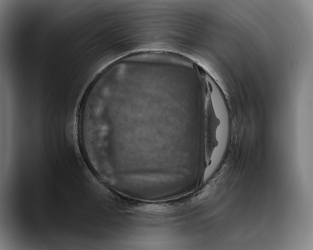 X0000089690998200707121333