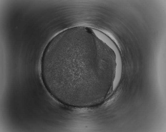 X0000089690999200707121333