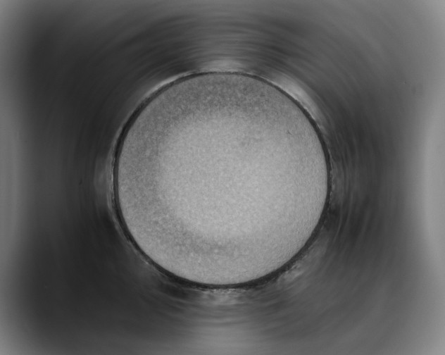 X0000089691000200707121333