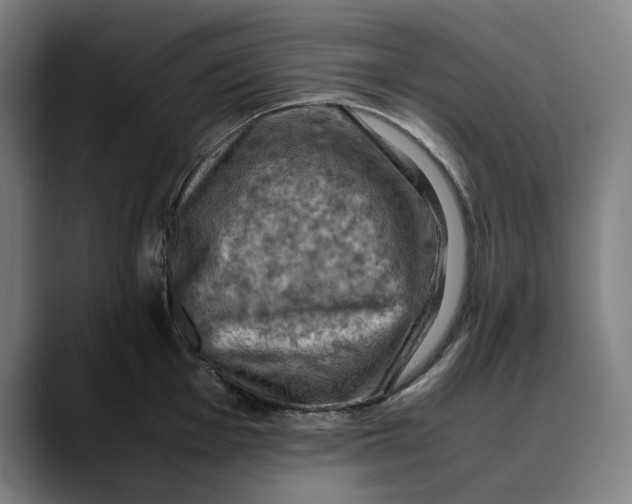 X0000089691001200707121333