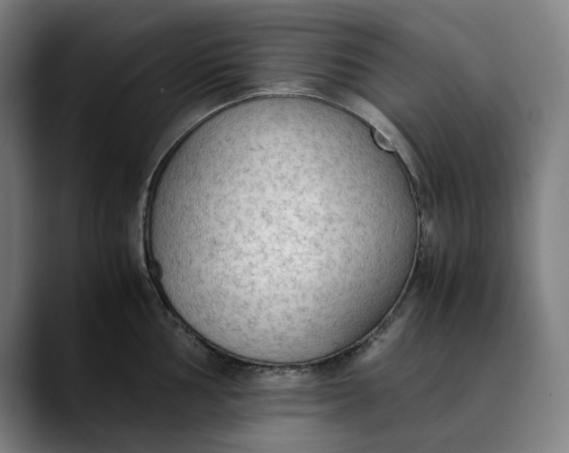 X0000089691002200707121333