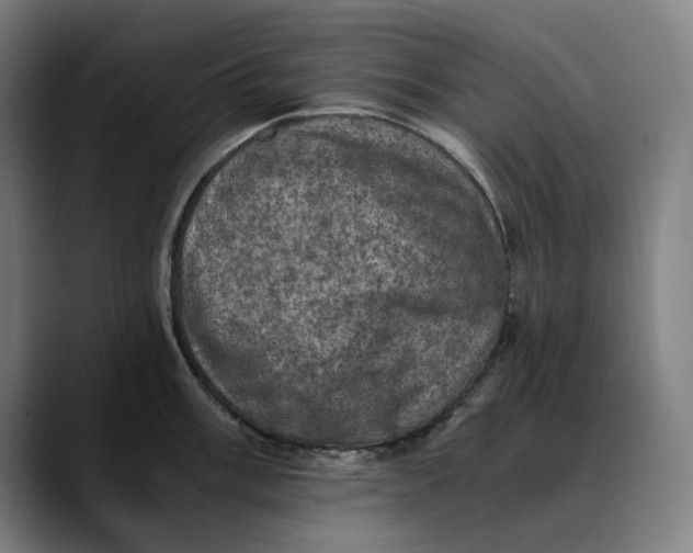 X0000089691003200707121333