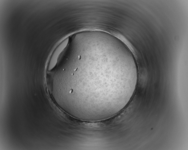 X0000089691004200707121333