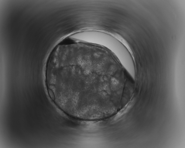 X0000089691005200707121333