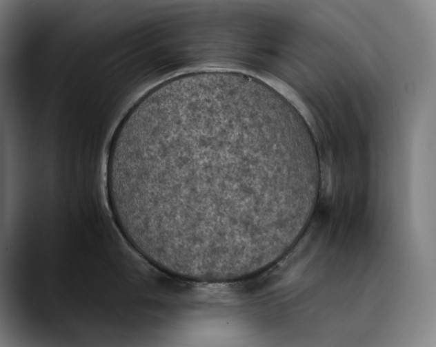 X0000089691006200707121333