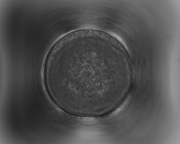 X0000089691007200707121333