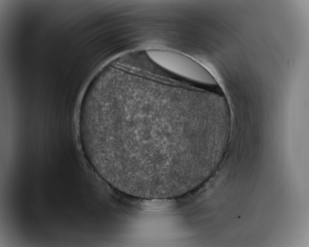 X0000089691008200707121333