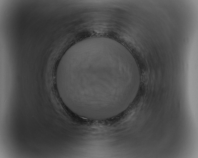 X0000089691009200707121332