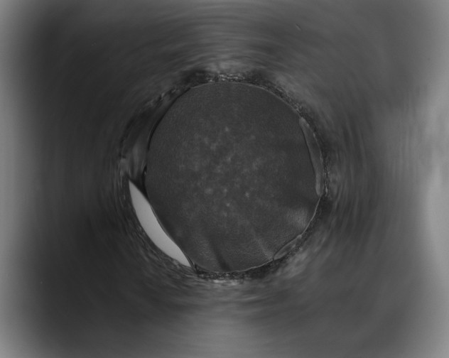 X0000089691010200707121332