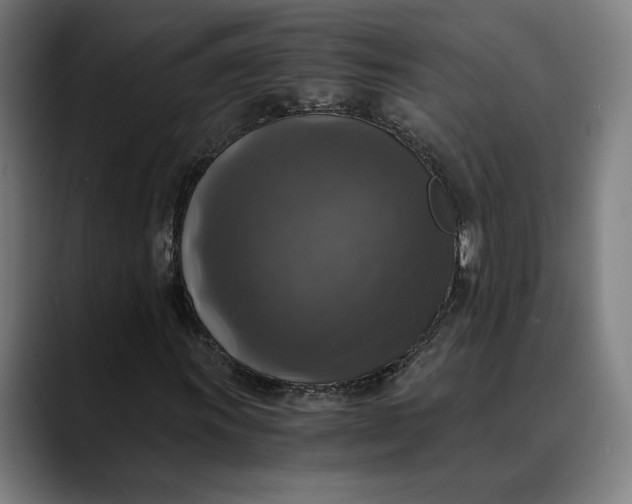 X0000089691011200707121332