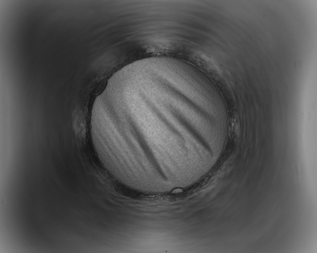 X0000089691012200707121332