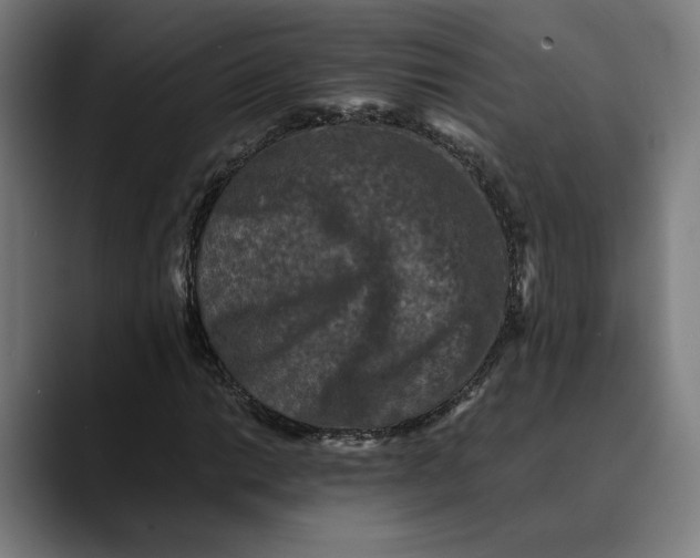 X0000089691014200707121332