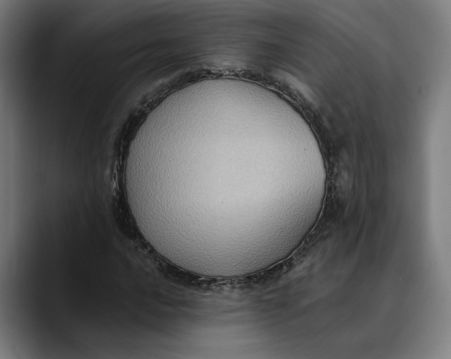 X0000089691016200707121332