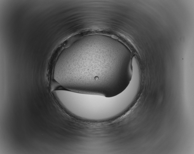 X0000089691018200707121332