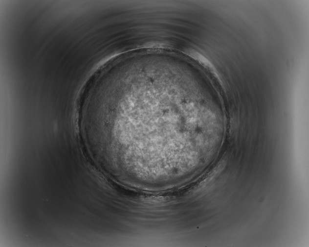 X0000089691019200707121332