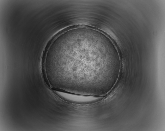 X0000089691020200707121332