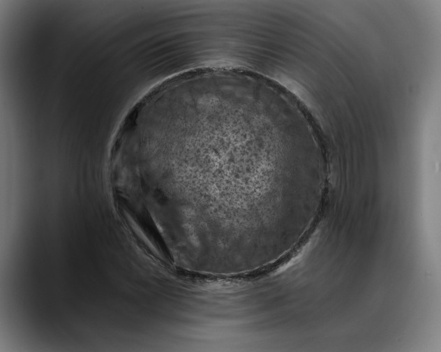 X0000089691022200707121332