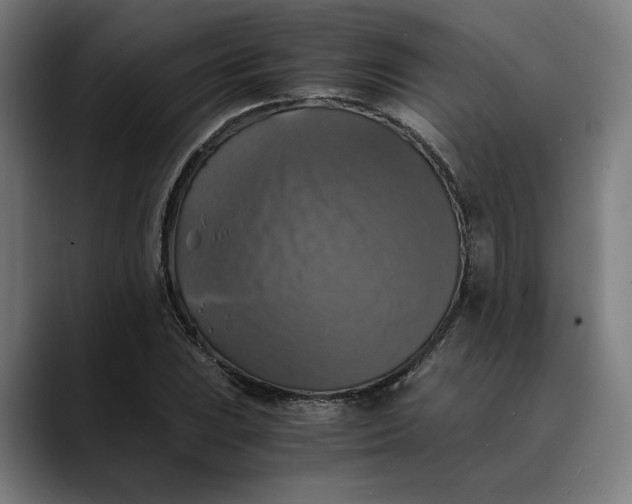 X0000089691023200707121332