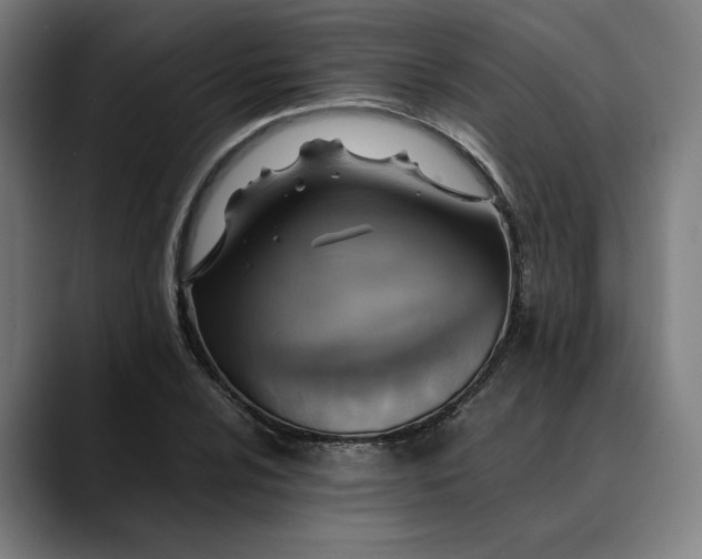 X0000089691024200707121332