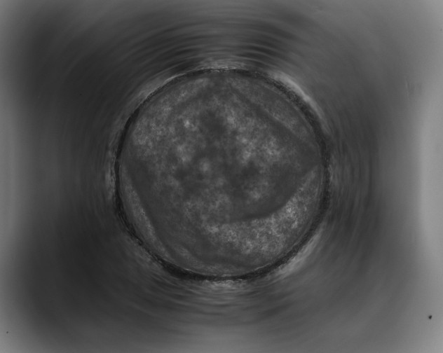 X0000089691025200707121332