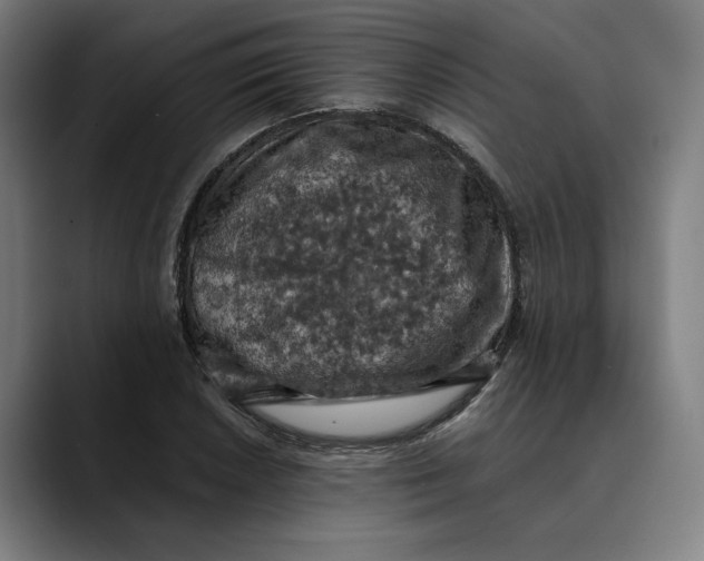 X0000089691026200707121332