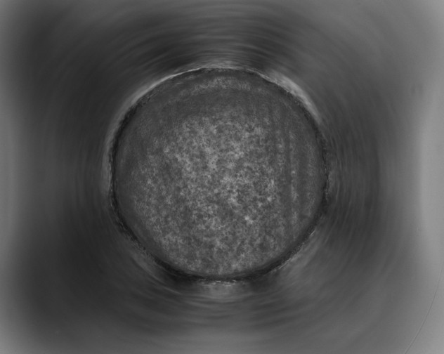 X0000089691027200707121332