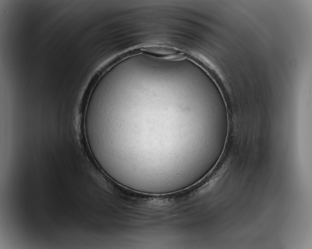 X0000089691029200707121332