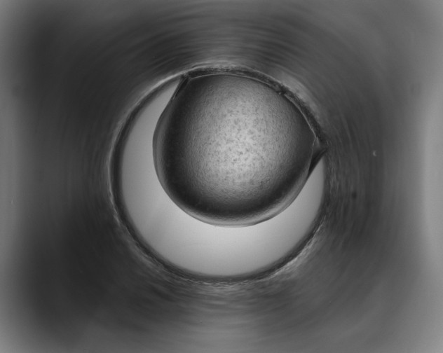 X0000089691030200707121332