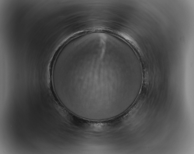 X0000089691031200707121332