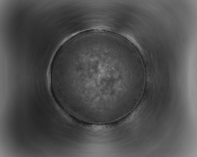 X0000089691032200707121332