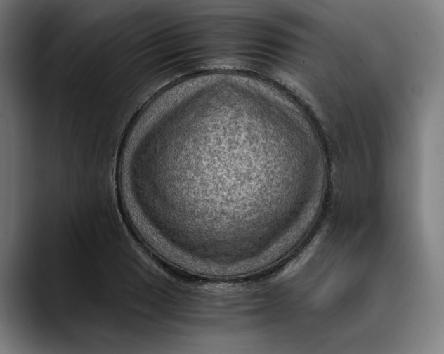 X0000089691033200707121332