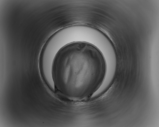 X0000089691034200707121332