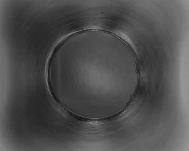 X0000089691035200707121332