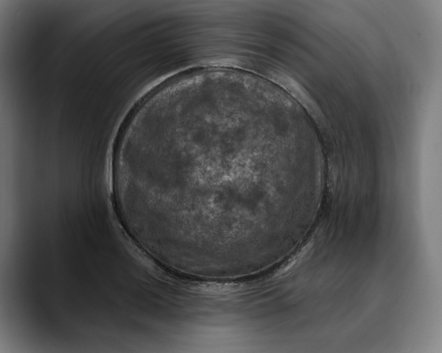 X0000089691036200707121332