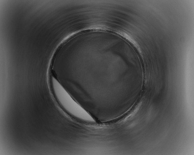 X0000089691037200707121332