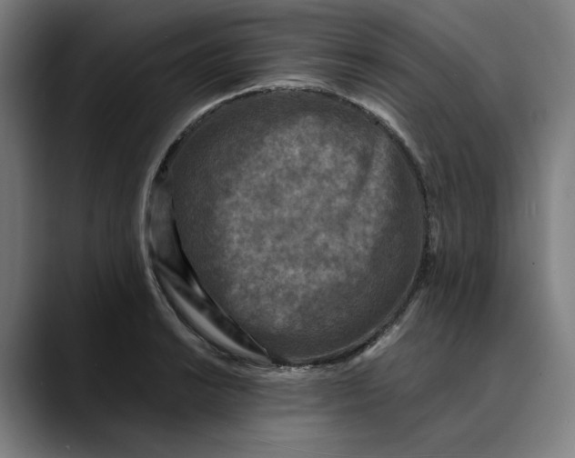 X0000089691038200707121332