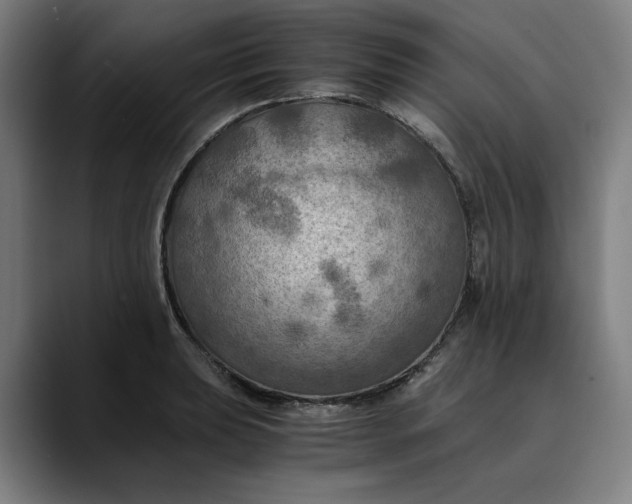 X0000089691039200707121332