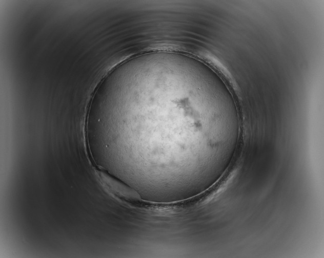 X0000089691041200707121332