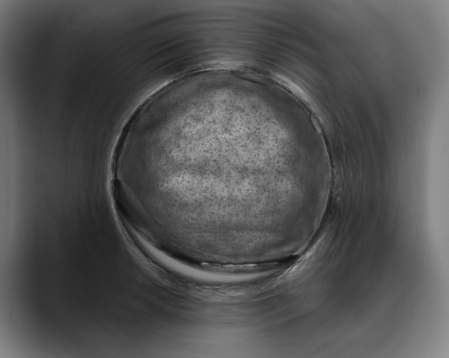 X0000089691042200707121332