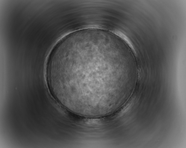 X0000089691043200707121332