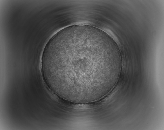 X0000089691044200707121332