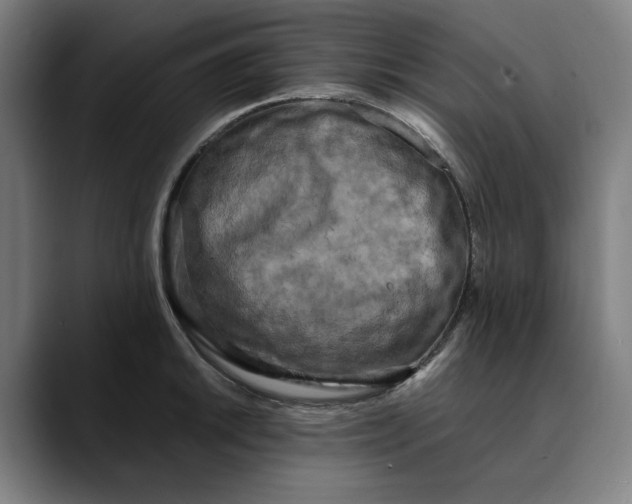 X0000089691046200707121332